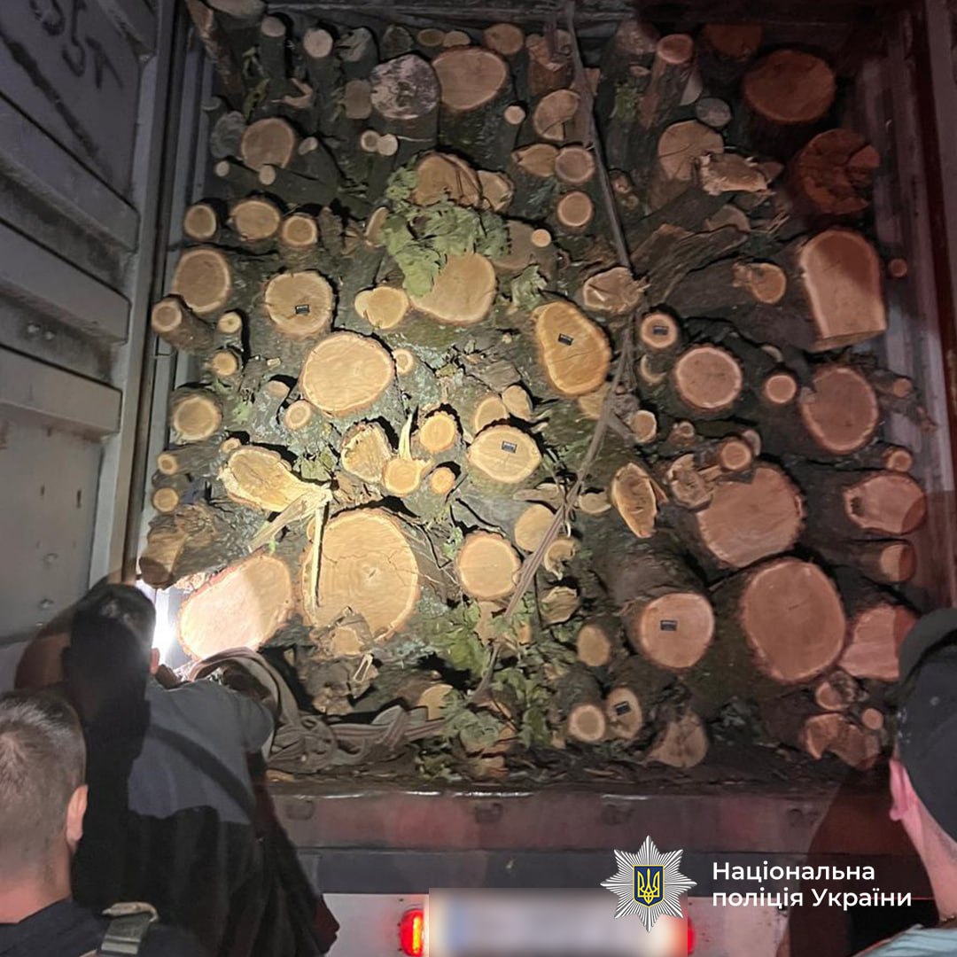 Корупційні схеми