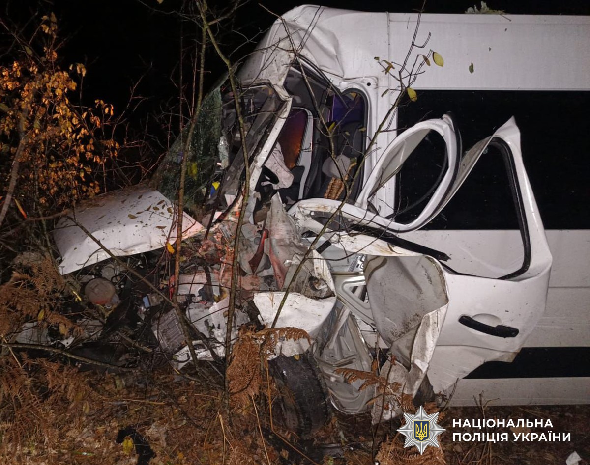 На Житомирщині мікроавтобус з'їхав у кювет: постраждала пасажирка