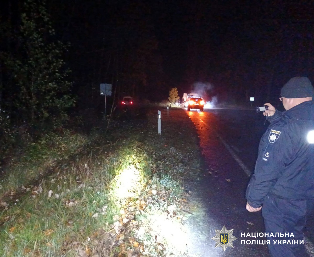 На Житомирщині мікроавтобус з'їхав у кювет: постраждала жінка