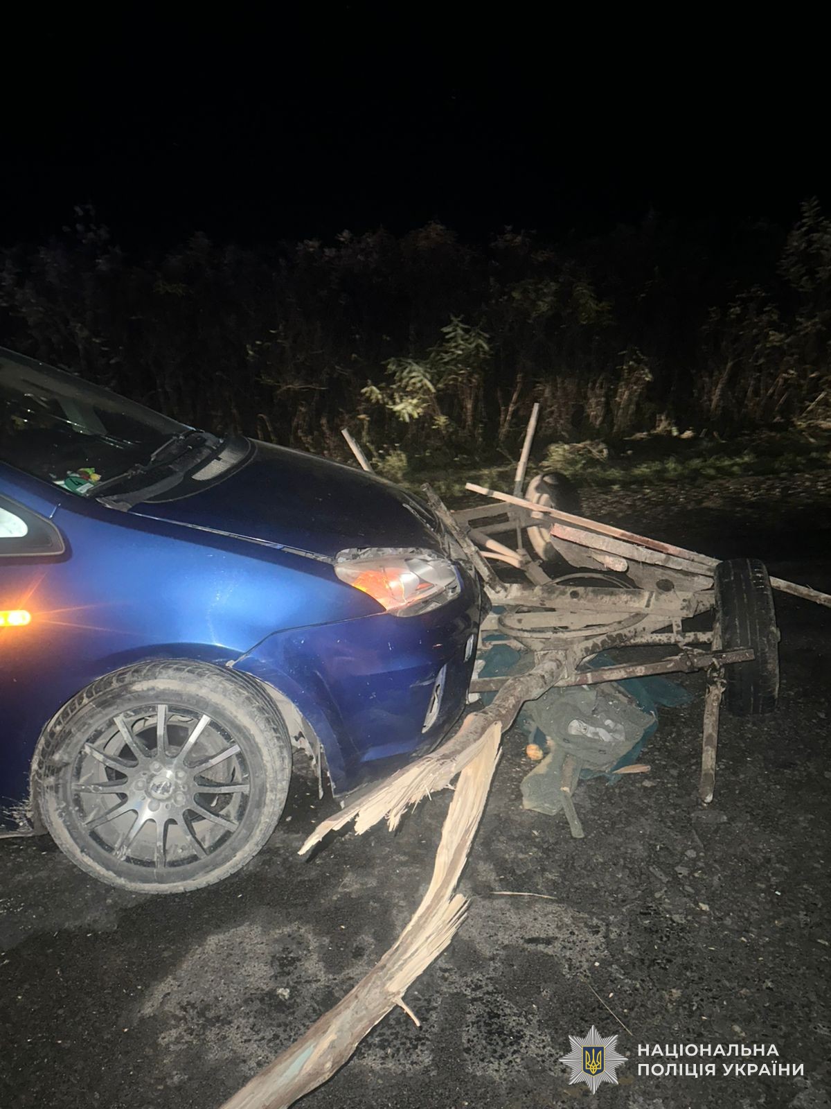 Во Львовской области в результате ДТП пострадали водители микроавтобуса и подводы