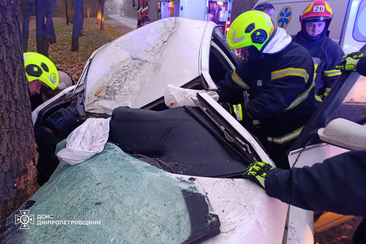 На Днепропетровщине легковушка влетела в дерево
