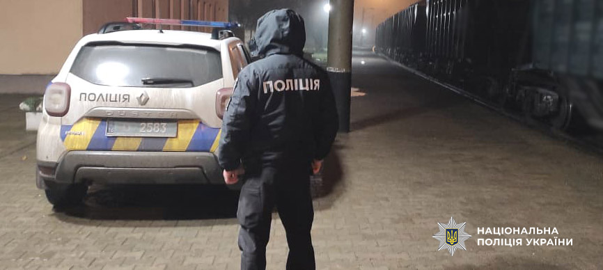 В Одесской области грузовой поезд сбил насмерть женщину с козой