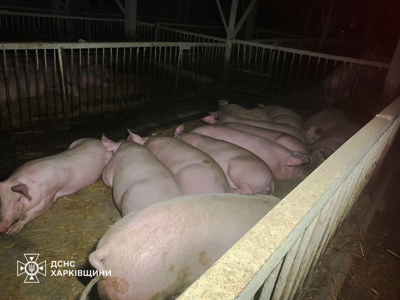 В Харьковской области в результате атаки горела ферма