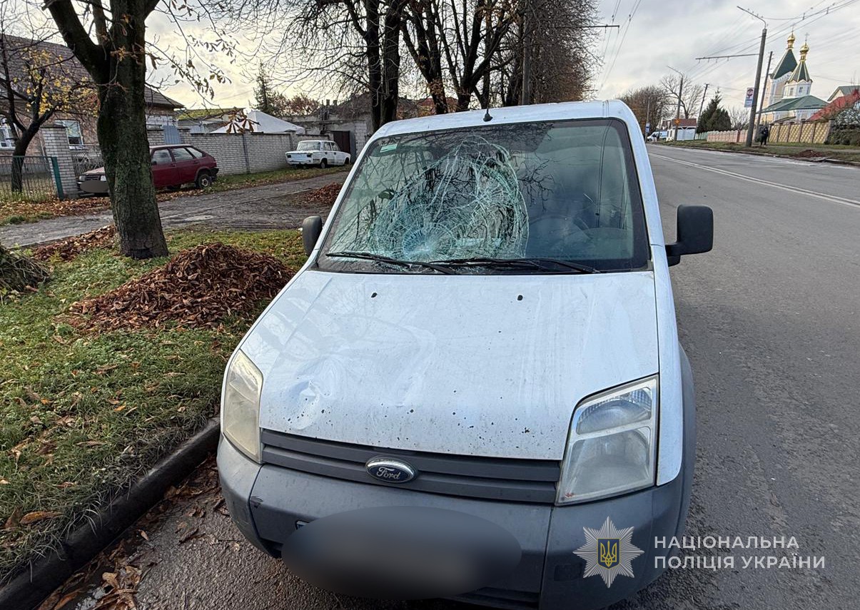 В Луцке на пешеходном переходе автомобиль сбил двоих детей