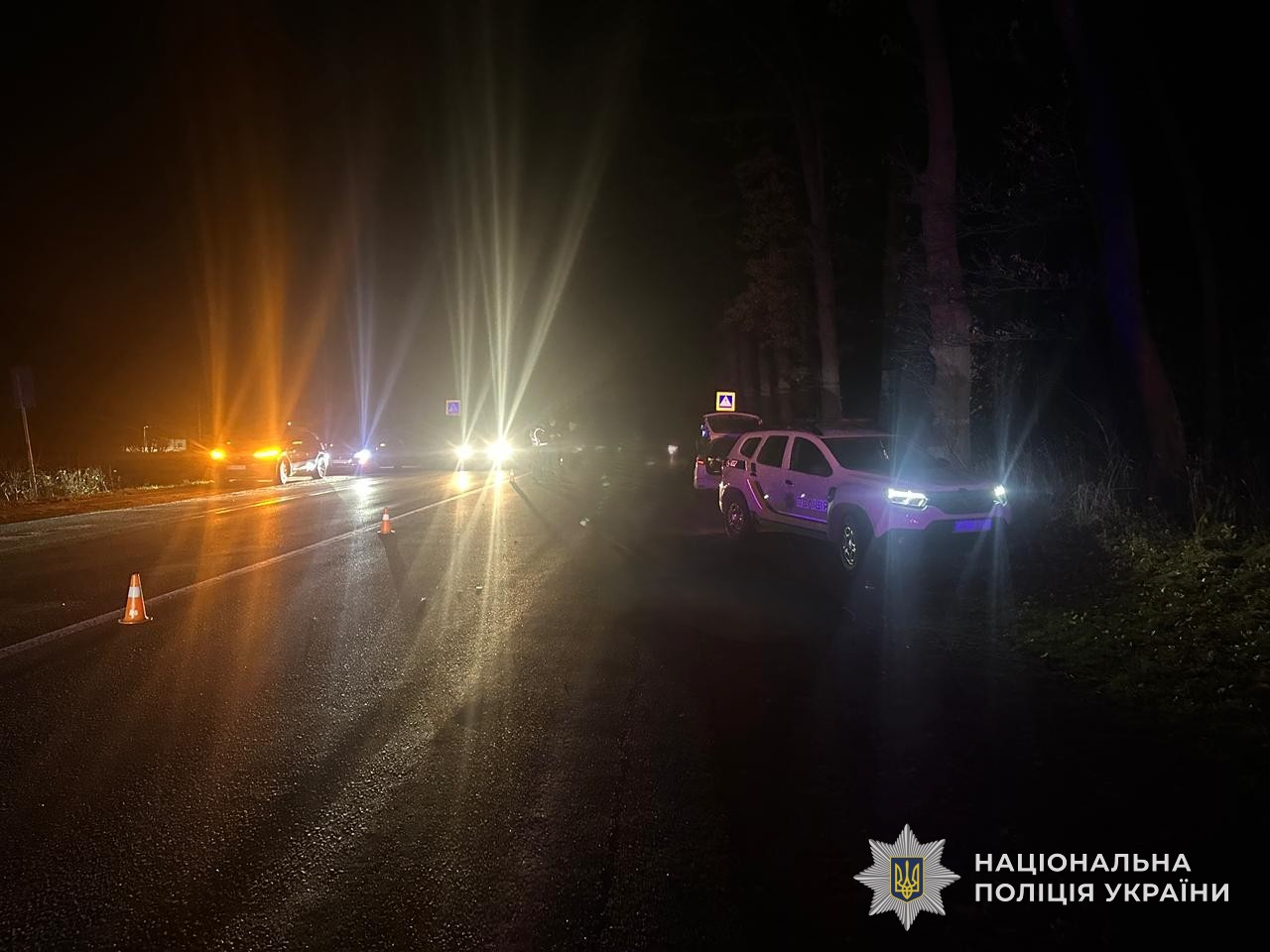 На Львівщині водій збив двох пішоходів: один загинув, інша травмована