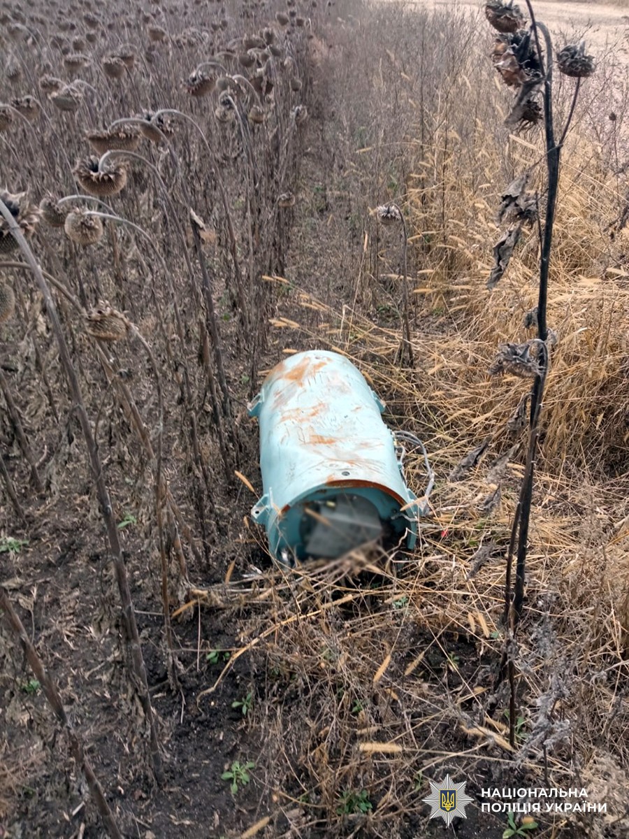 В Житомирской области обезвредили боевые элементы российских ракет Х-101