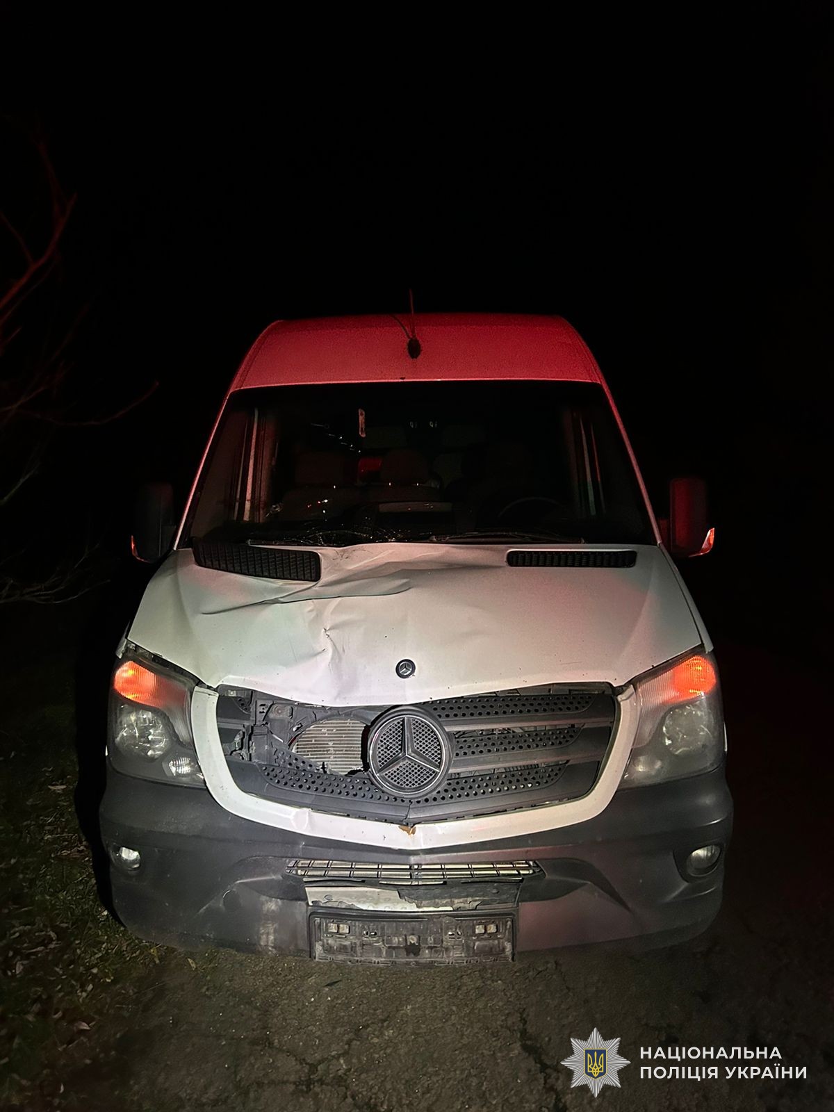 На Львівщині під колесами мікроавтобуса загинув чоловік