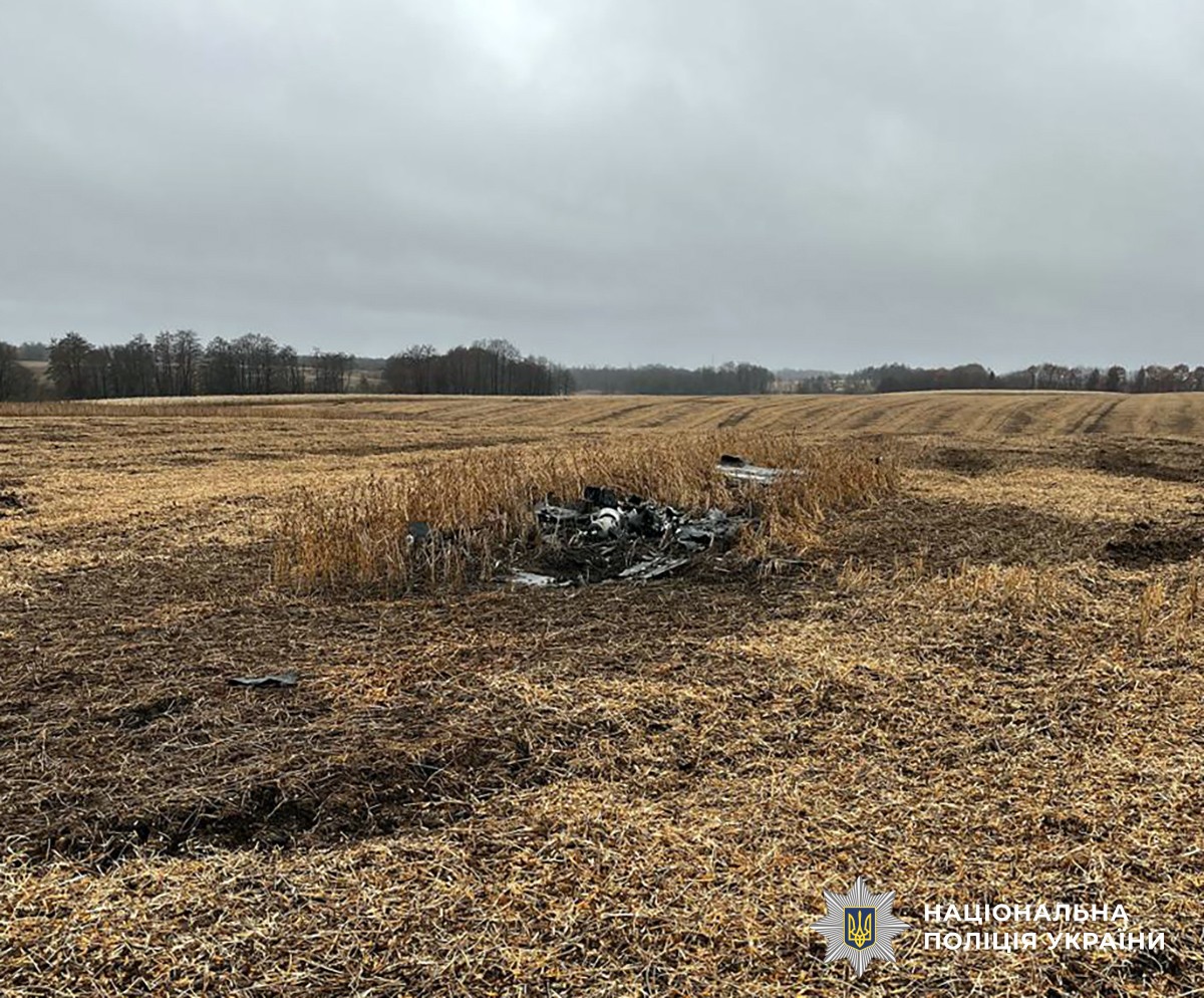 В Житомирской области обезвредили боевые элементы российских ракет Х-101 и дронов-камикадзе