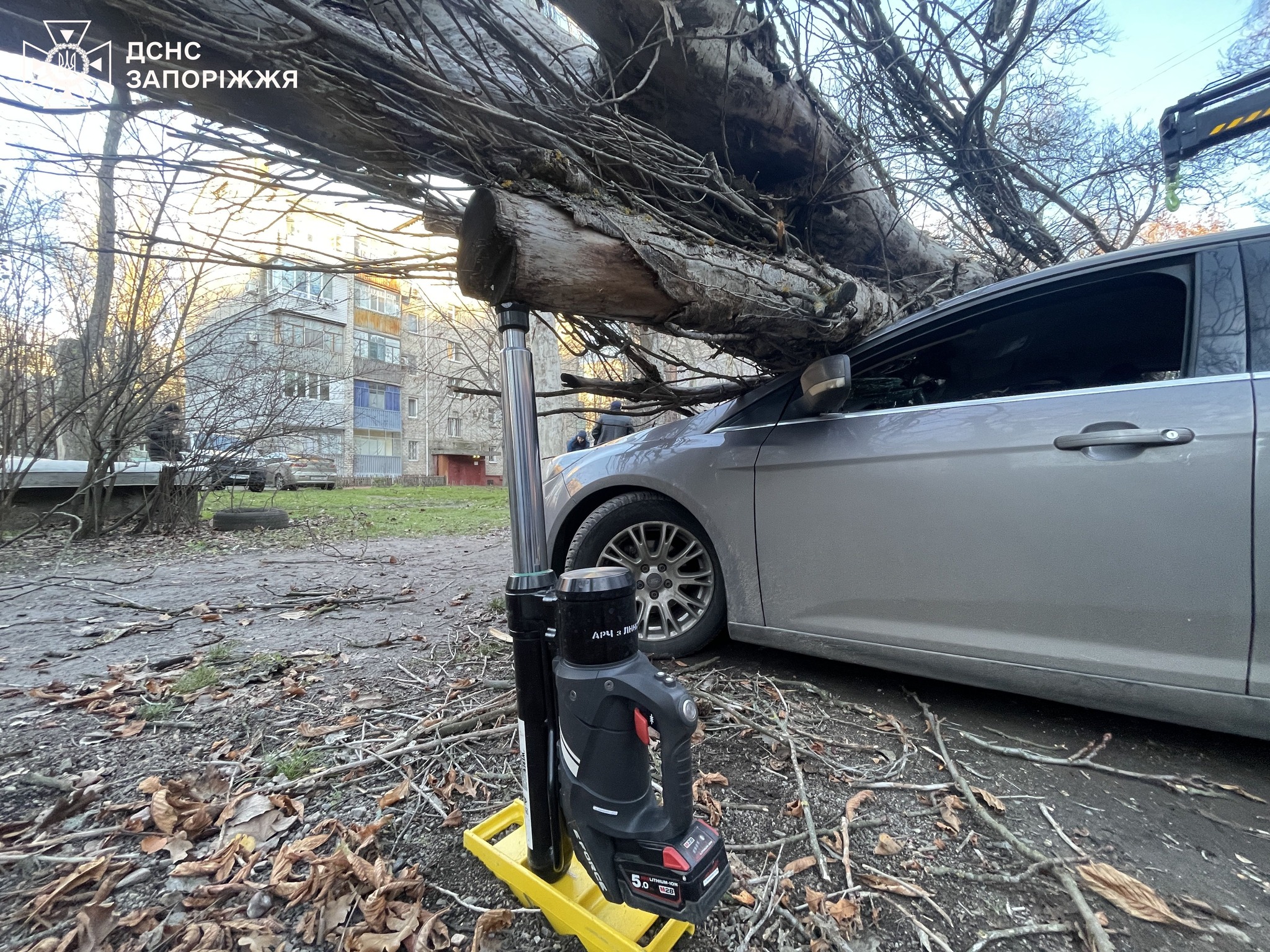 У Запоріжжі через сильний вітер дерево впало на припарковані авто