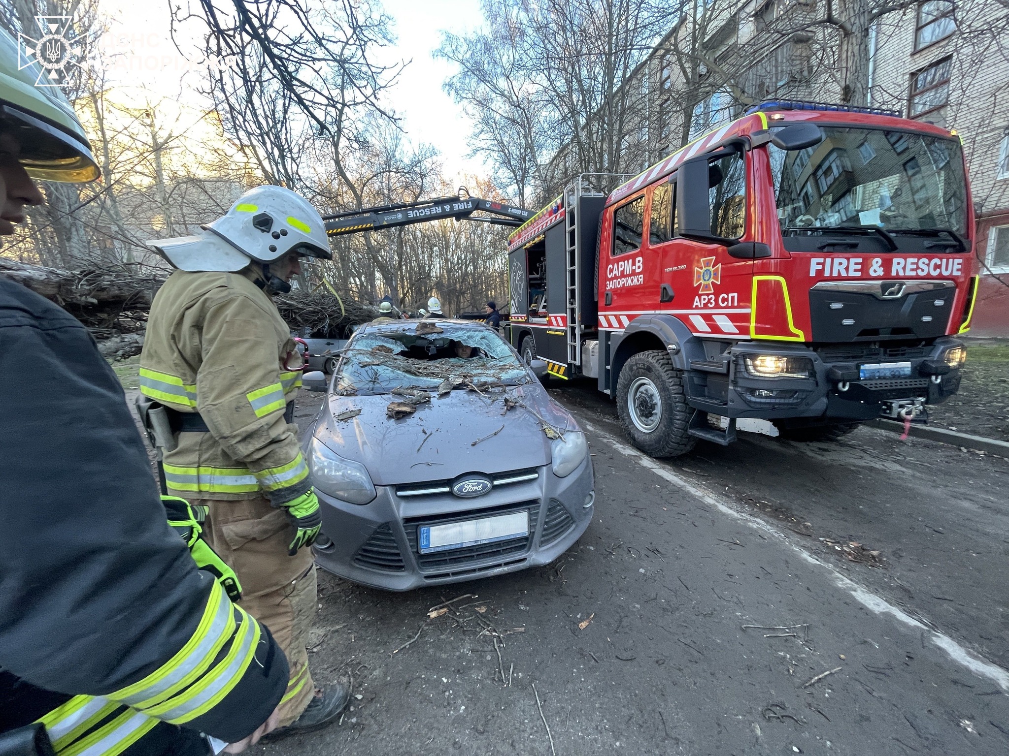 Сильний вітер у Запоріжжі: дерево впало на припарковані авто