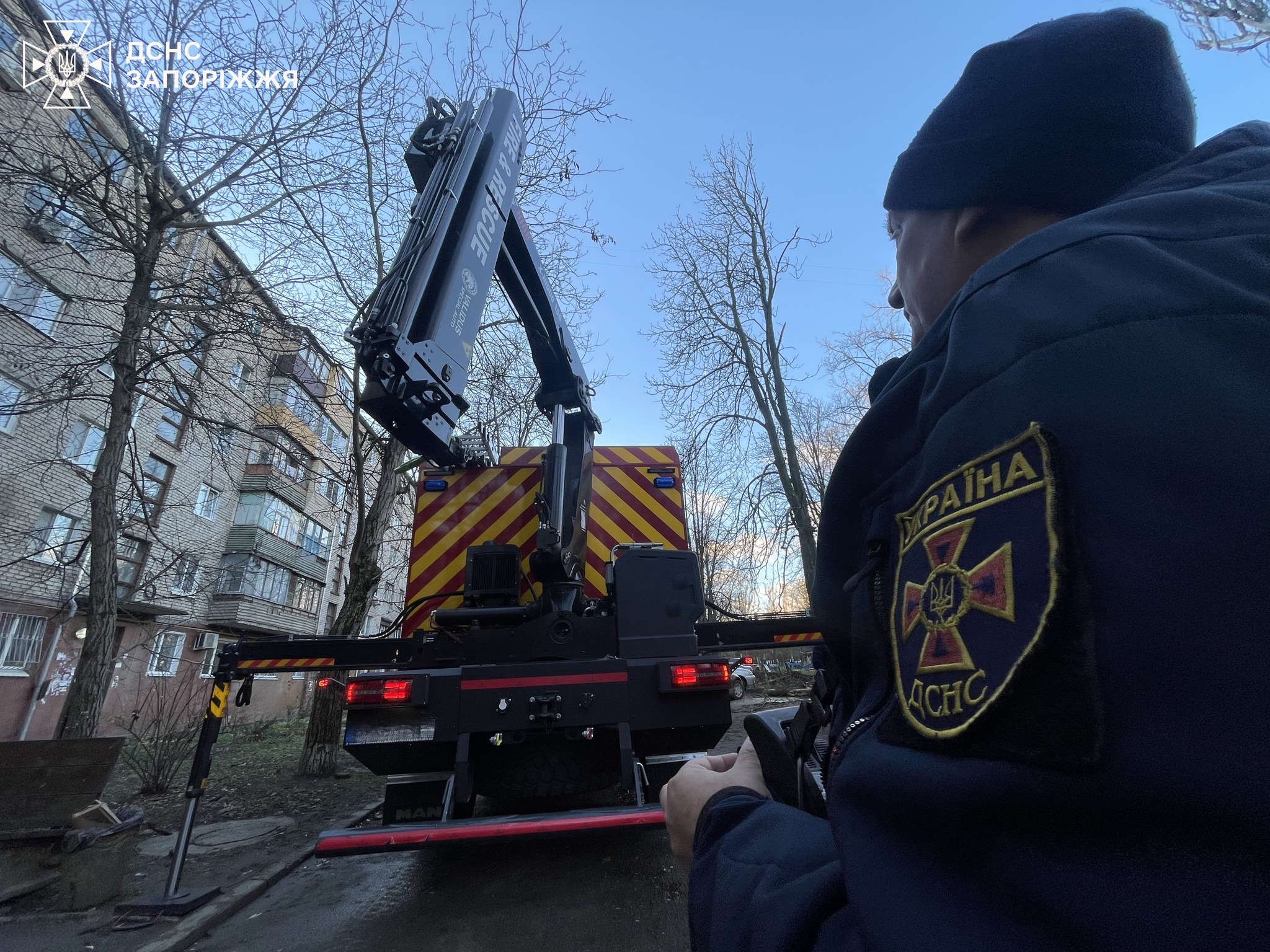 Сильний вітер у Запоріжжі: дерево впало на припарковані авто у дворі