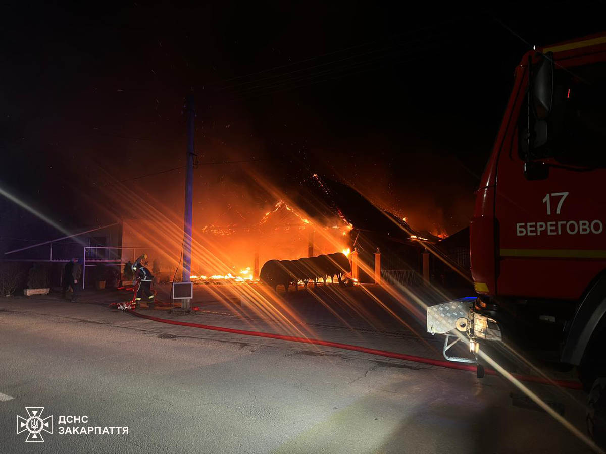 На Закарпатье произошел масштабный пожар: горел ресторан