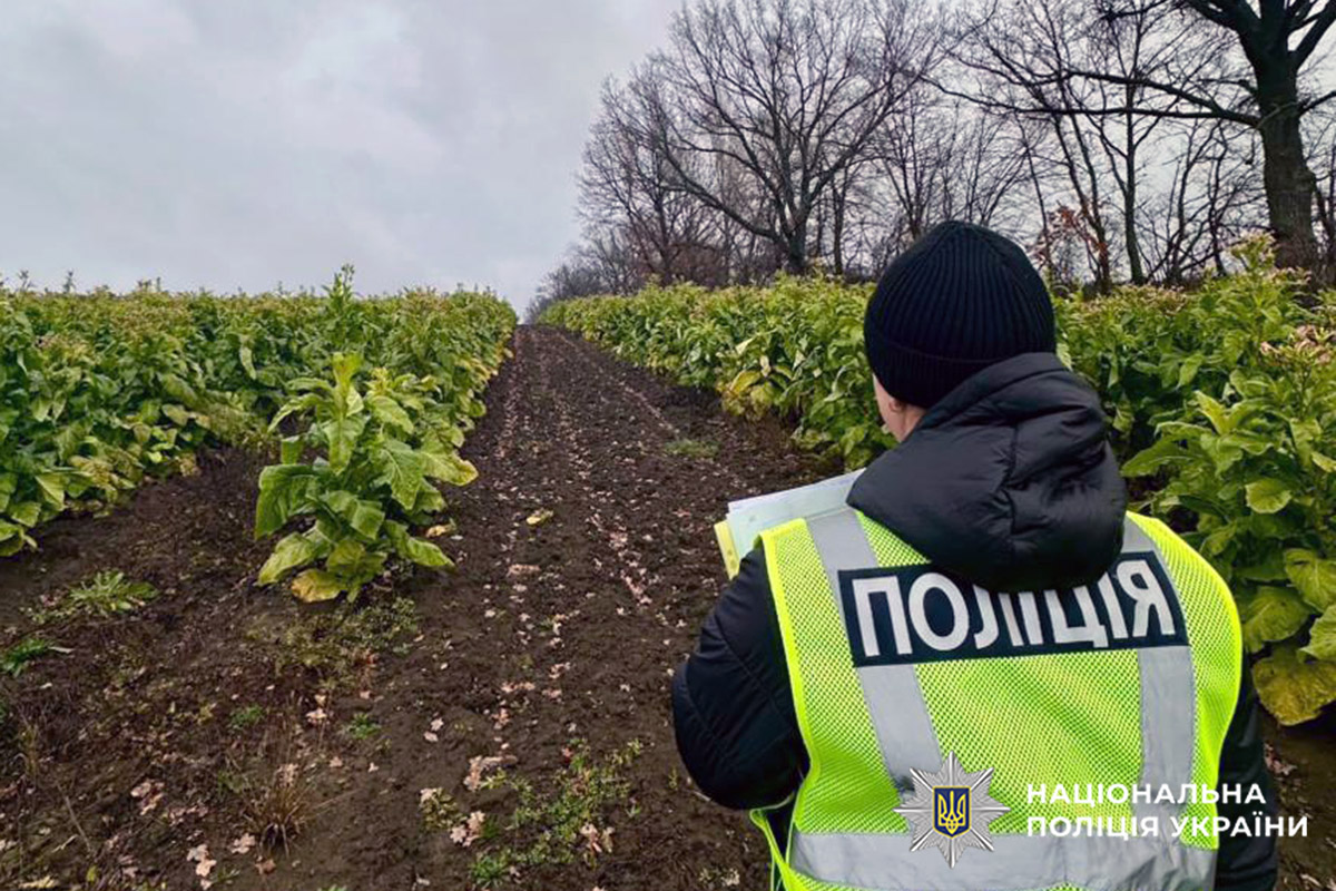 В Хмельницкой области разоблачили дельцов на нелегальном производстве табака: изъят товар на 25 млн грн