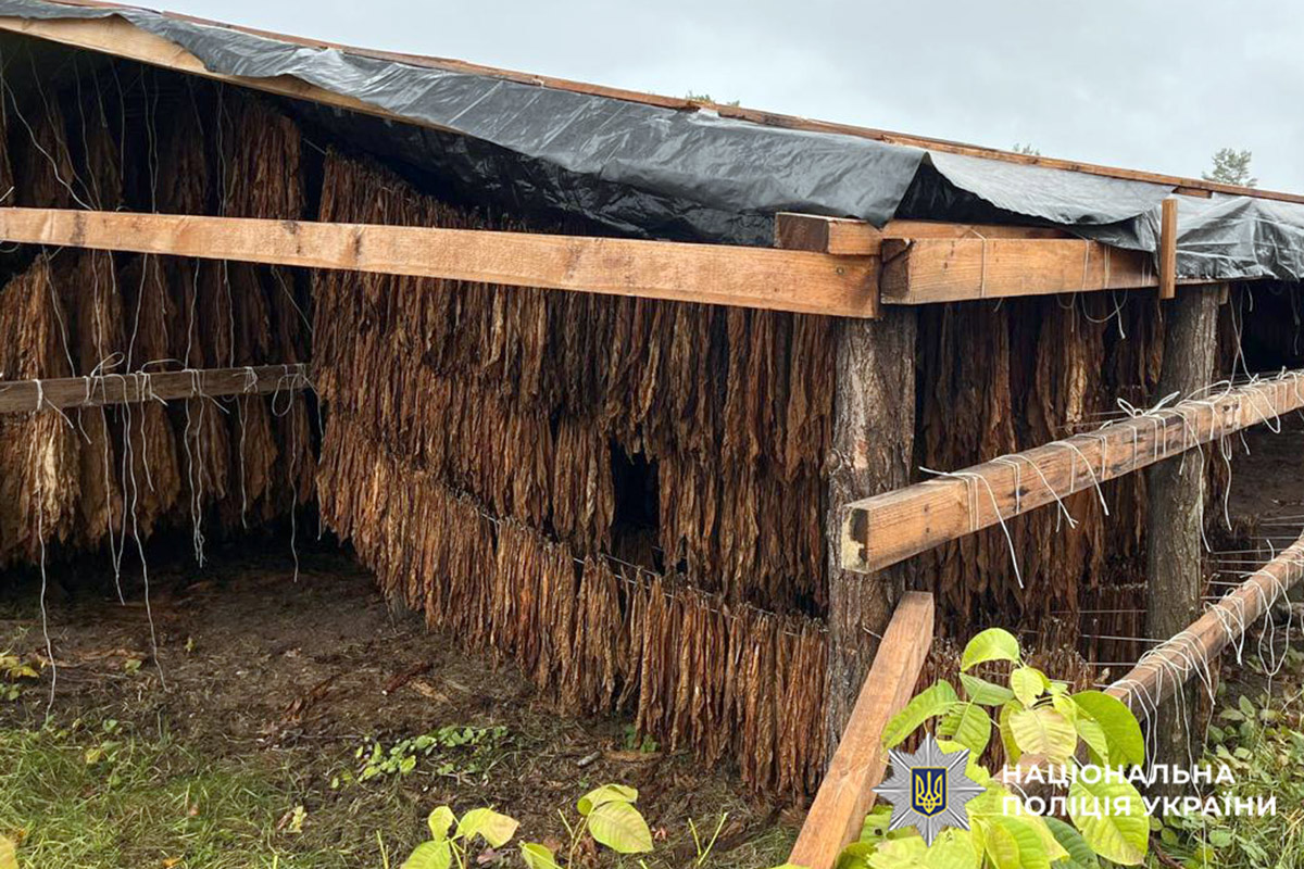 В Хмельницкой области разоблачили нелегальное производство табака