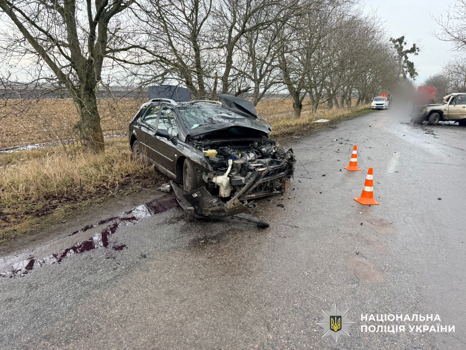 В Киевской области произошло тройное ДТП