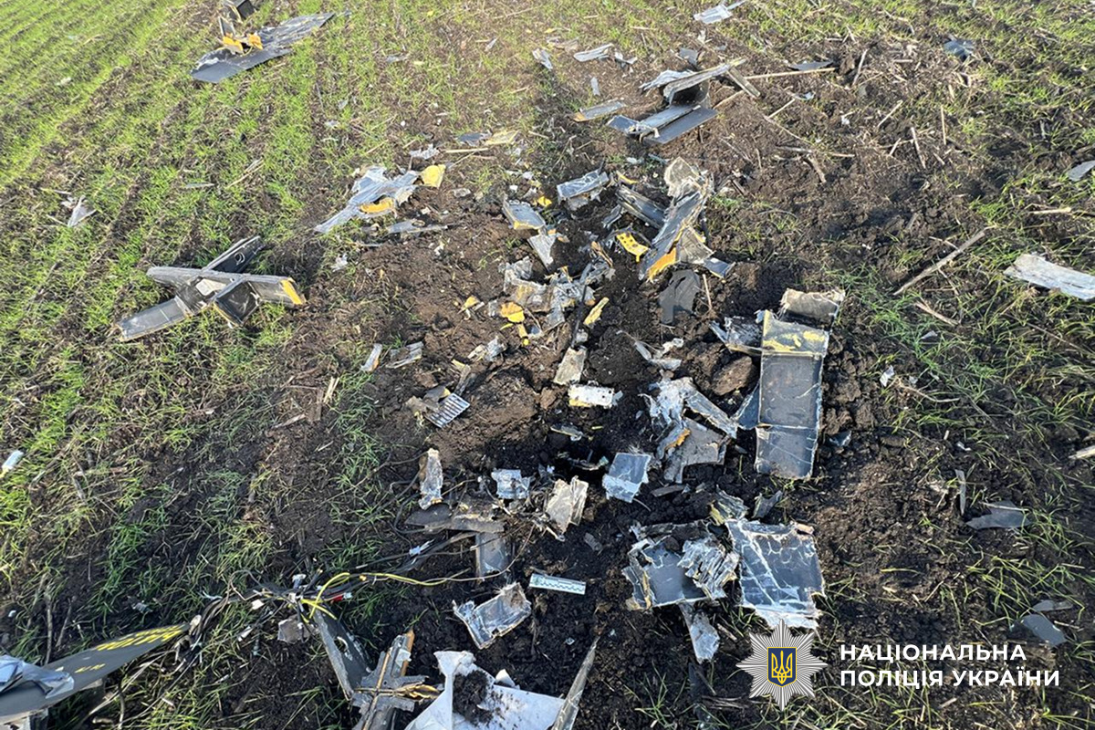 В Николаевской области уничтожили боевую часть вражеского беспилотника