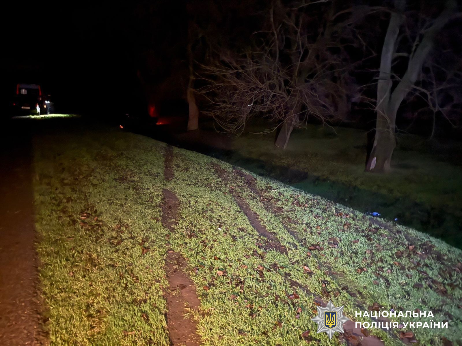 На Херсонщине легковушка вылетела с дороги и врезалась в дерево: погиб водитель