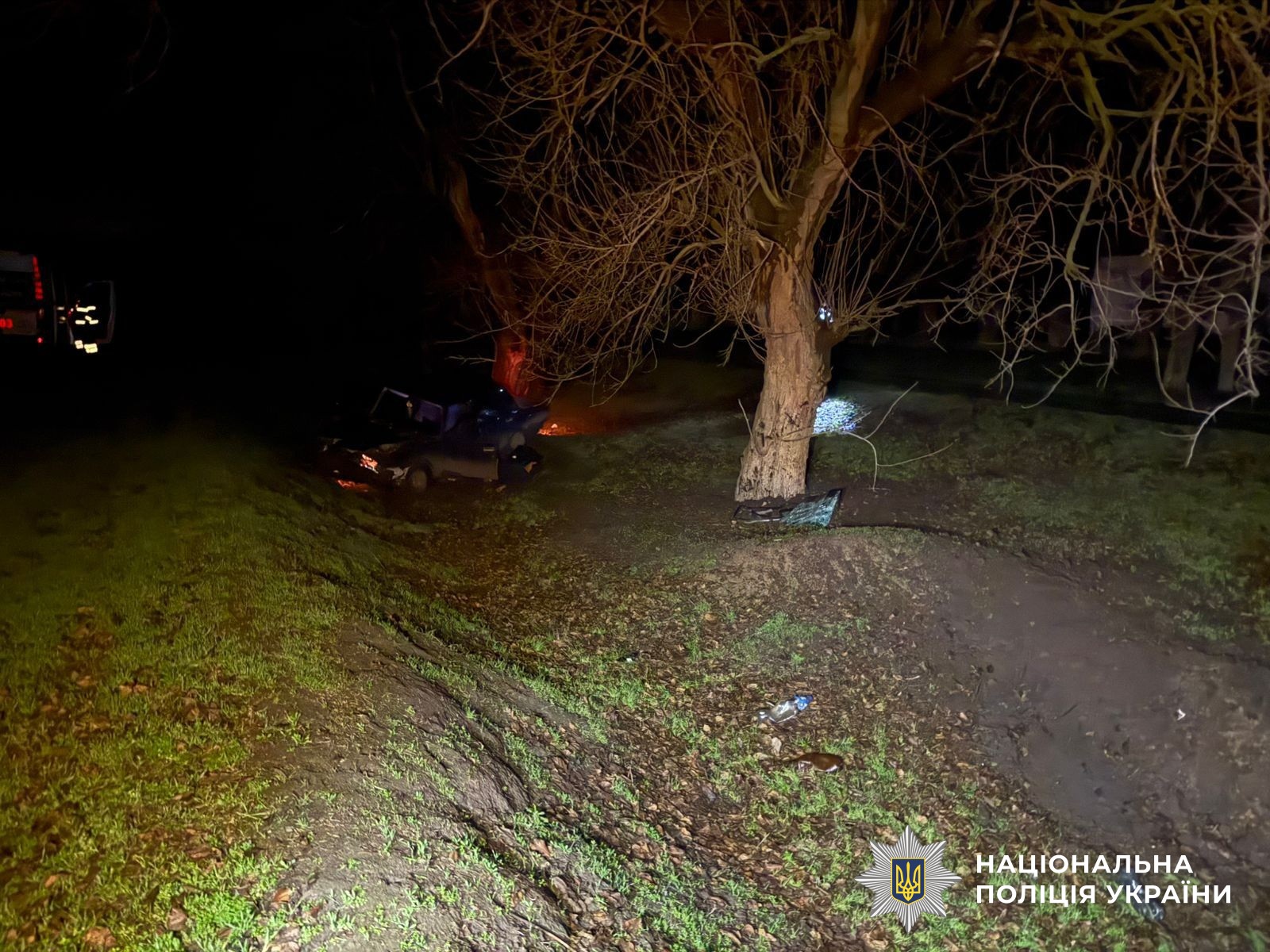 На Херсонщине легковушка вылетела с дороги и врезалась в дерево: водитель погиб