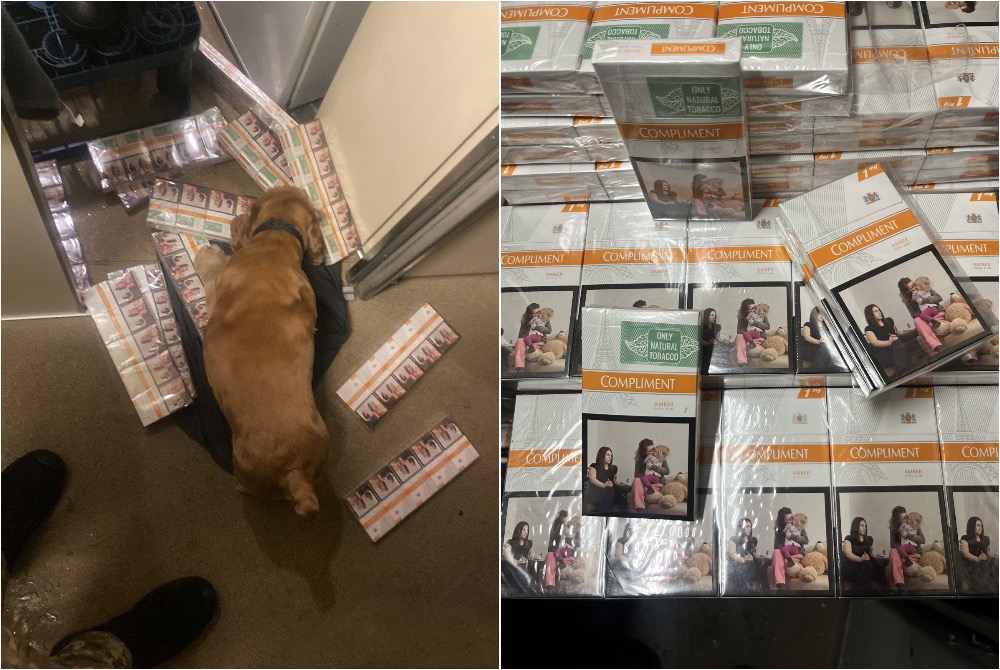 В поезде в Польшу служебная собака нашла тайник с контрабандой