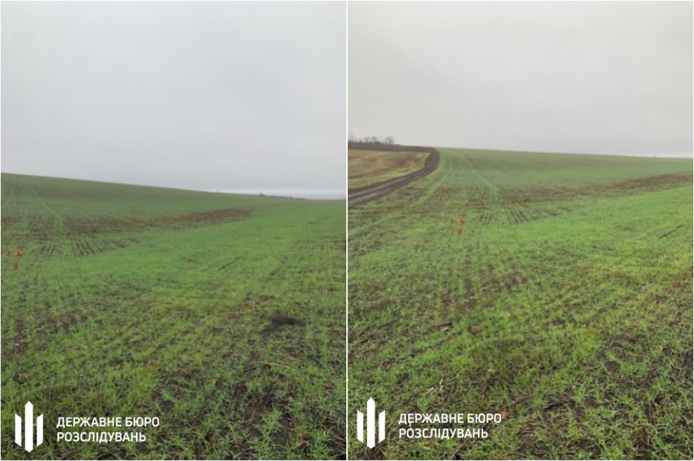 В Николаевской области директор лесхоза вместо возрождения леса засевал земли пшеницей