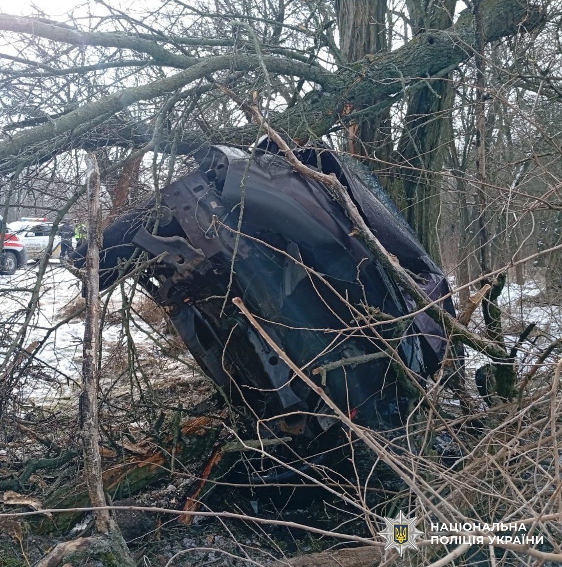 На Кировоградщине легковушка влетела в дерево после столкновения с другим авто: есть погибшая