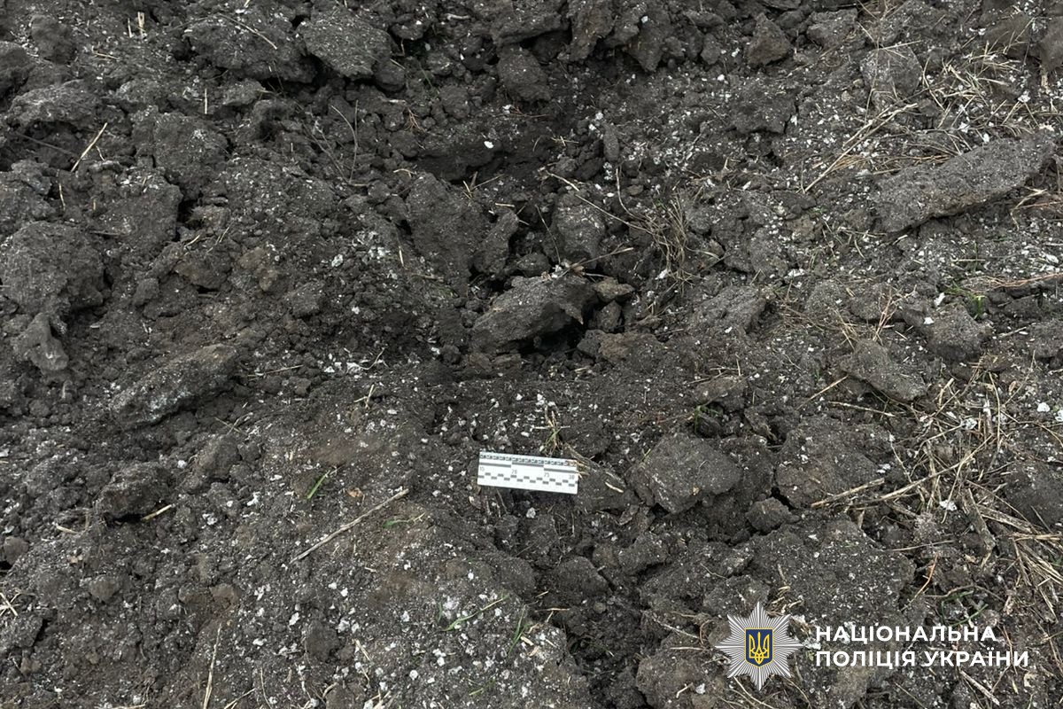 В Николаевской области уничтожили суббоеприпасы к вражеской крылатой ракете