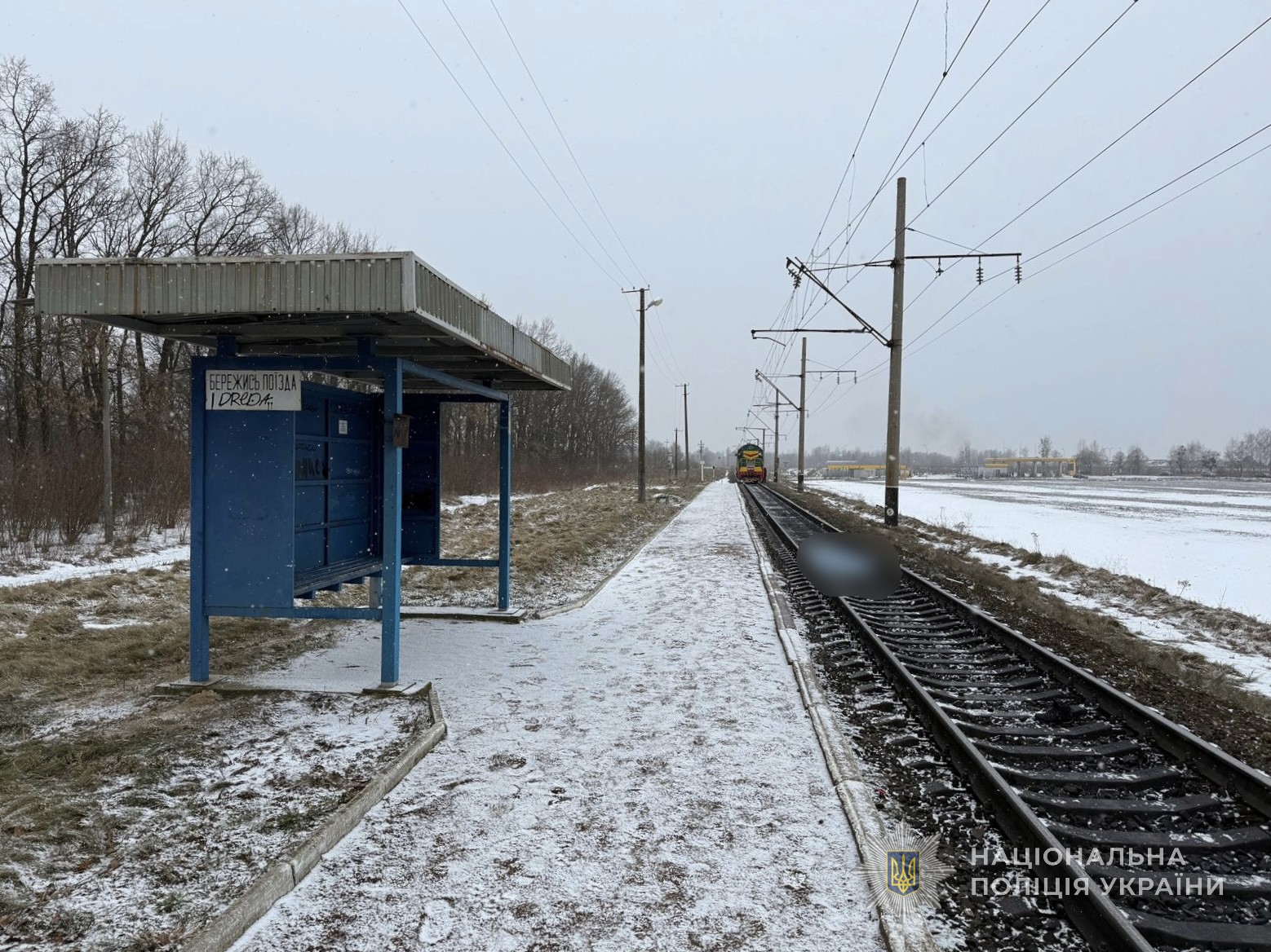 На Волині потяги збили на смерть чоловіка та 17-річного хлопця